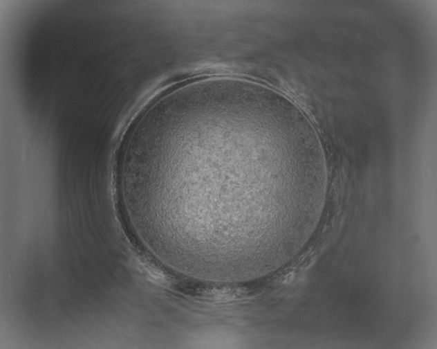 X0000074970103200609081422