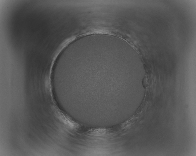 X0000074970104200609081422