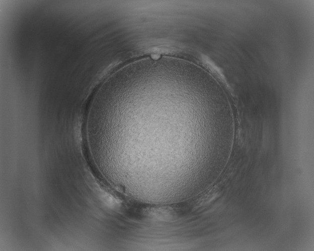 X0000074970106200609081422