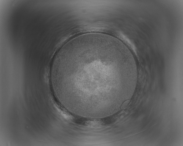 X0000074970107200609081422