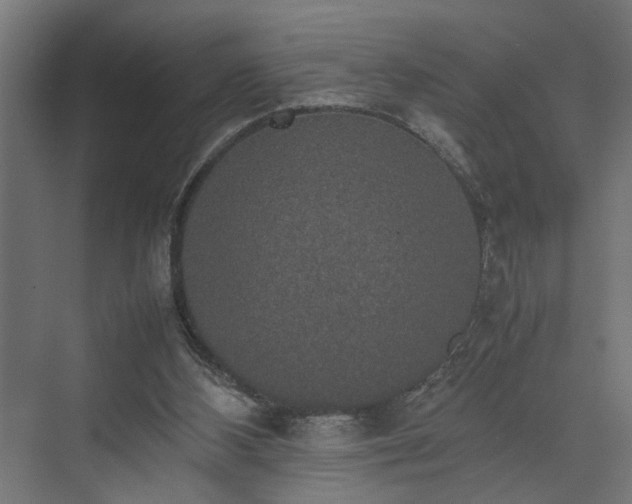 X0000074970108200609081422