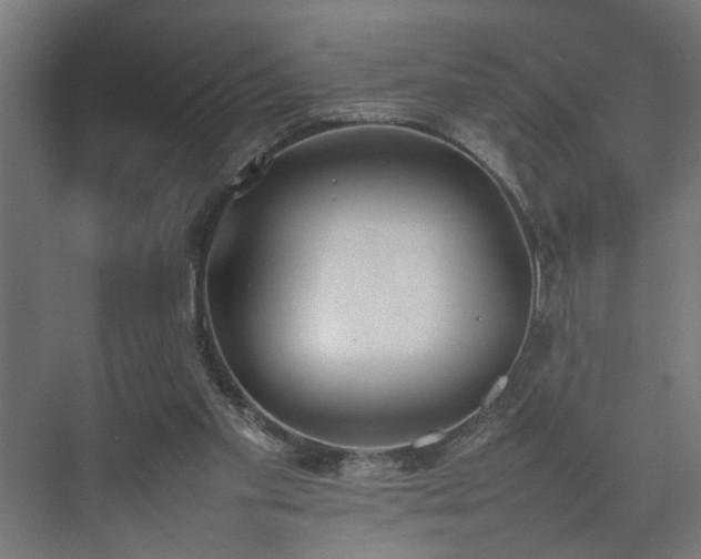 X0000074970109200609081421