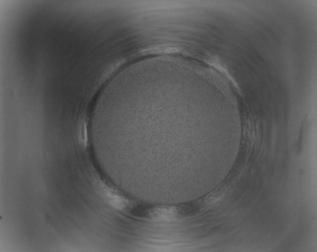 X0000074970110200609081421