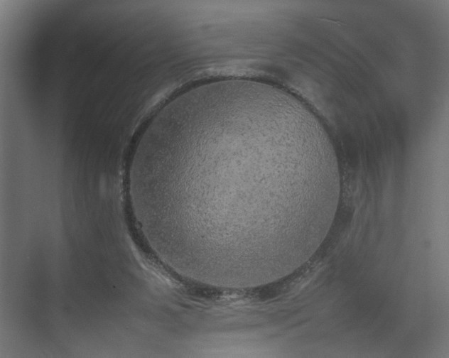 X0000074970111200609081421