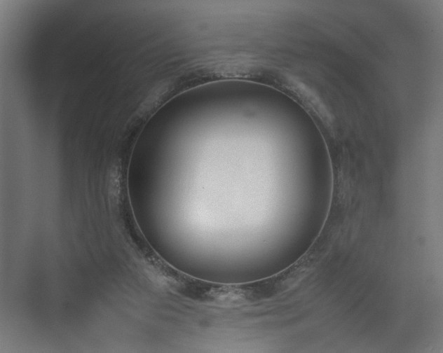 X0000074970113200609081421