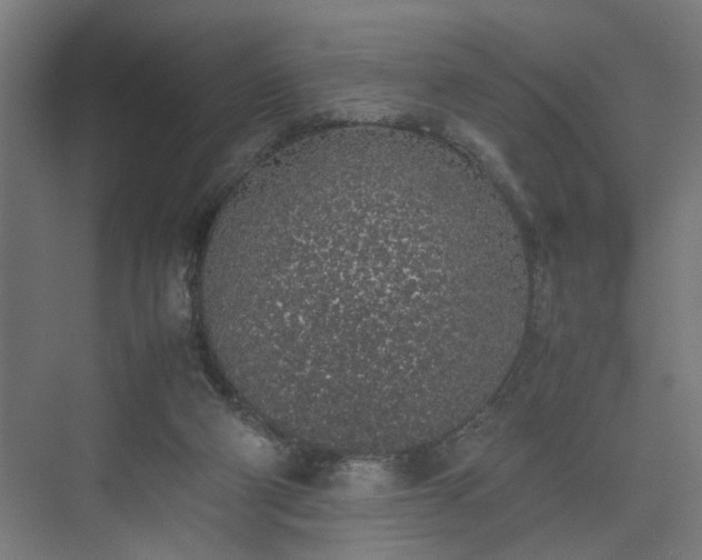 X0000074970114200609081421