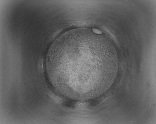 X0000074970115200609081421