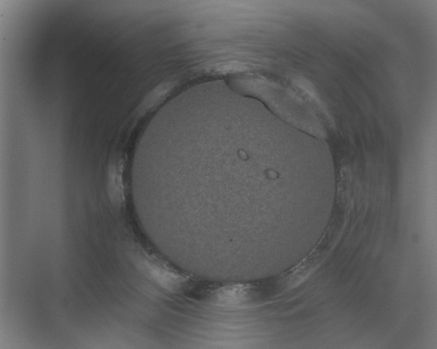 X0000074970116200609081421