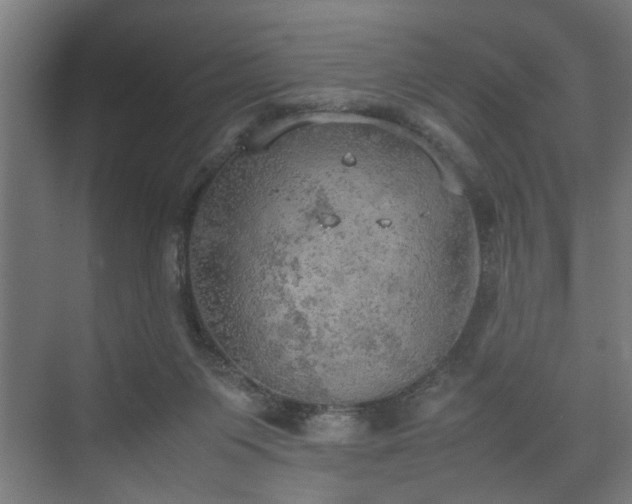 X0000074970119200609081421