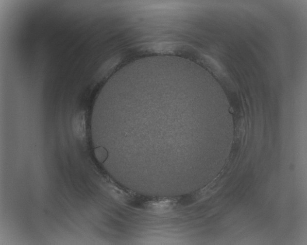 X0000074970120200609081421