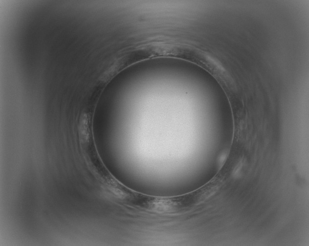 X0000074970121200609081421