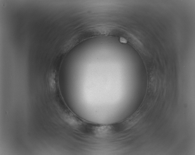 X0000074970122200609081421