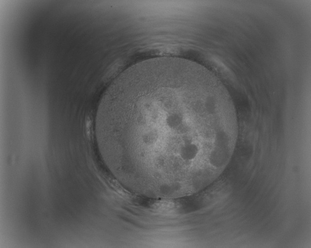 X0000074970123200609081421