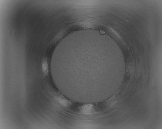 X0000074970124200609081421