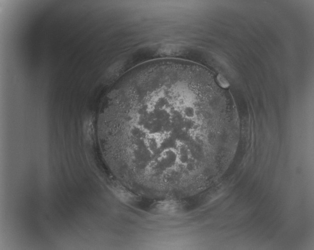 X0000074970127200609081421