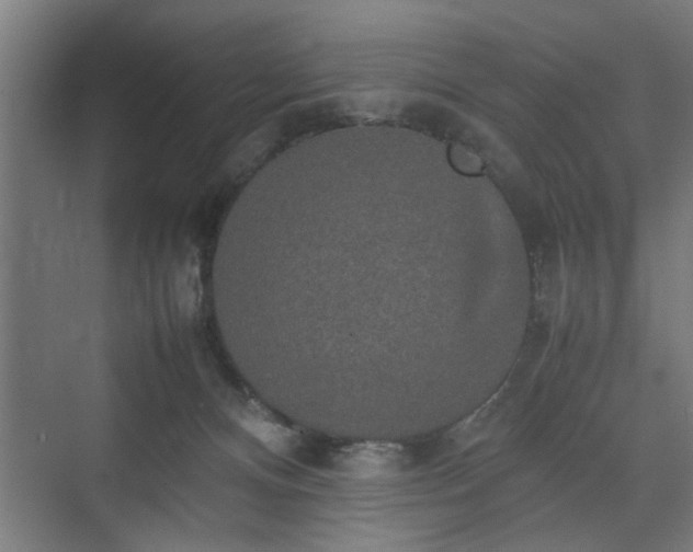 X0000074970128200609081421