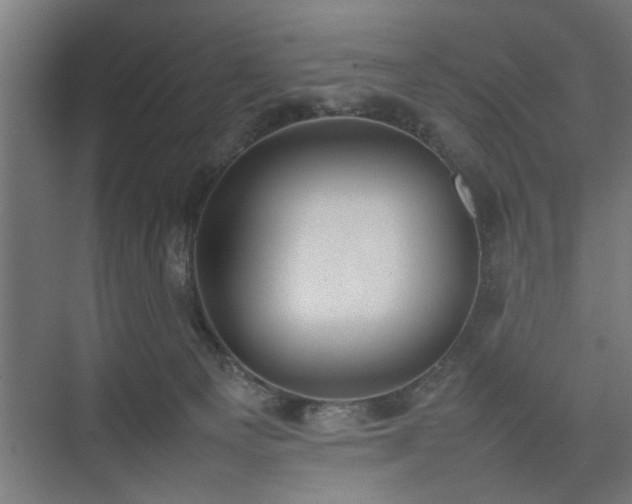 X0000074970129200609081421