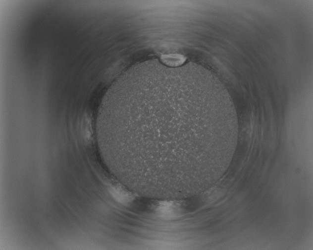 X0000074970130200609081421