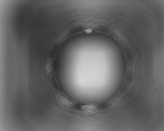 X0000074970133200609081421