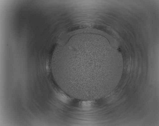 X0000074970134200609081421