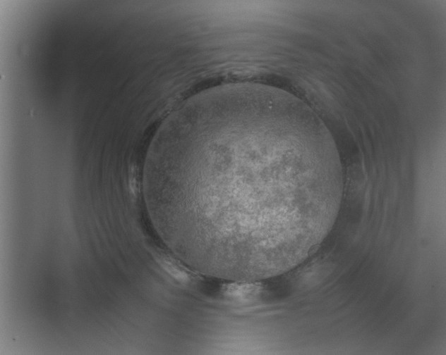 X0000074970135200609081421