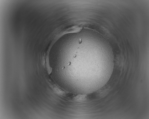 X0000074970138200609081421