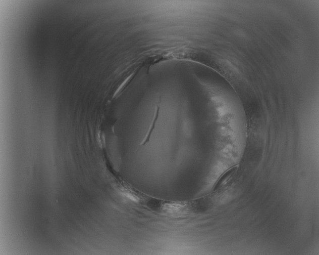 X0000074970139200609081421