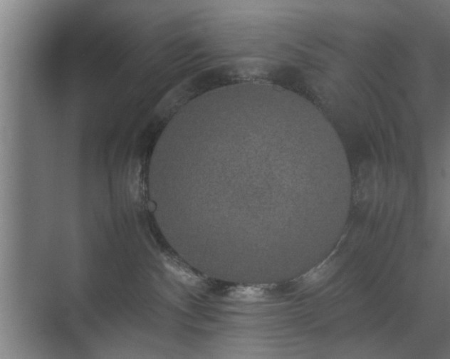 X0000074970140200609081421