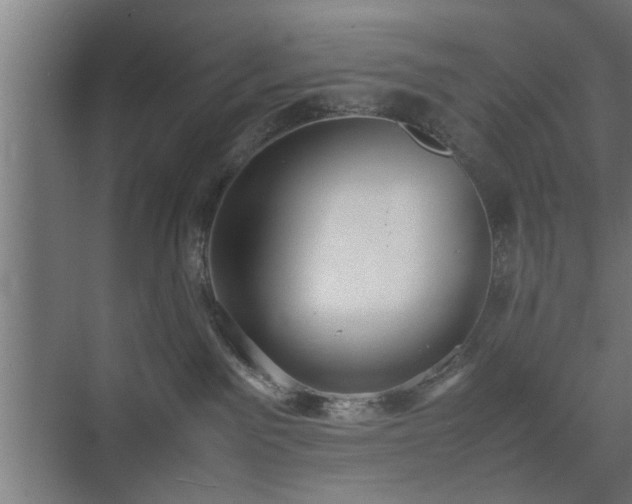 X0000074970141200609081421