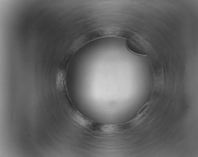 X0000074970142200609081421