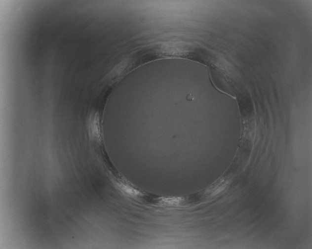 X0000074970143200609081421