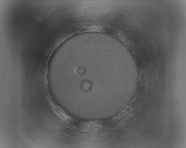 X0000074970146200609081420