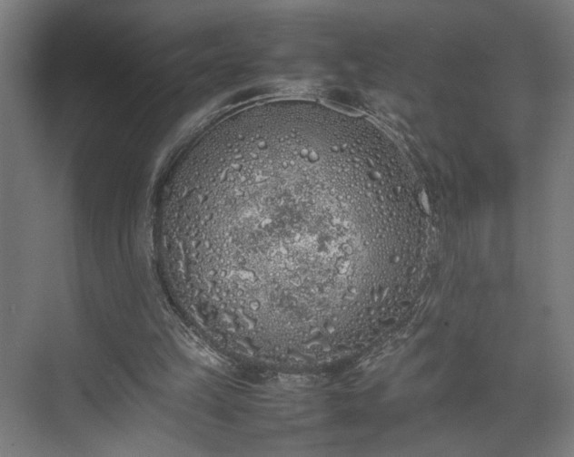 X0000074970149200609081420