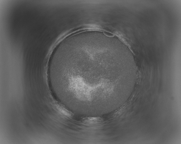 X0000074970151200609081420