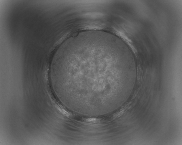 X0000074970153200609081420