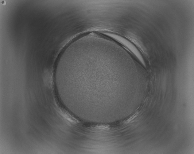 X0000074970156200609081420