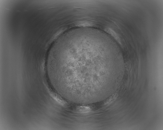 X0000074970159200609081420