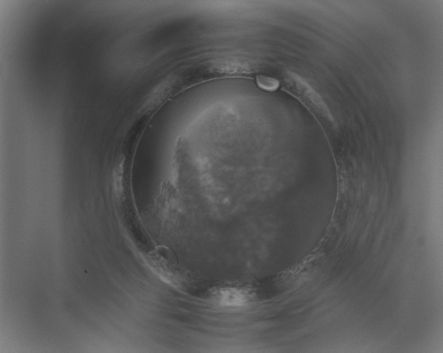 X0000074970163200609081420