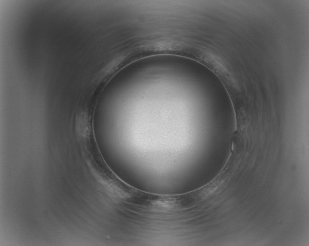 X0000074970164200609081420