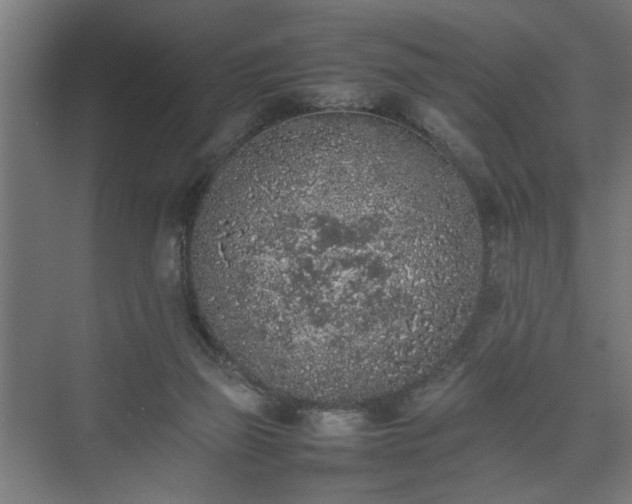 X0000074970165200609081420