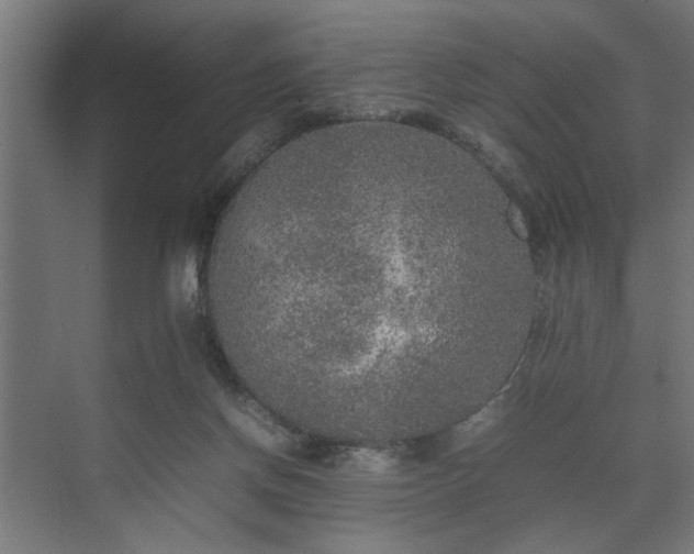 X0000074970166200609081420