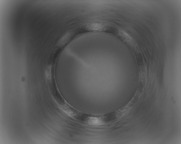 X0000074970167200609081420