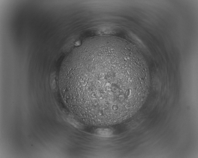 X0000074970169200609081420