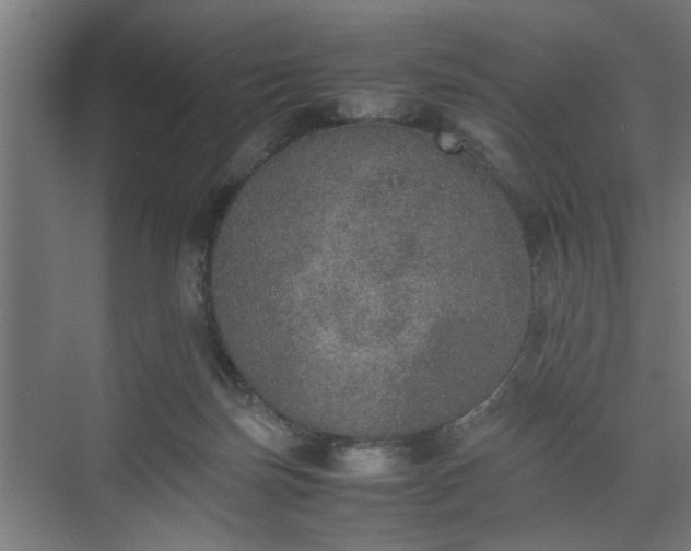 X0000074970171200609081421