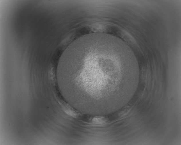 X0000074970173200609081421