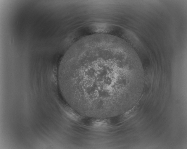 X0000074970175200609081421