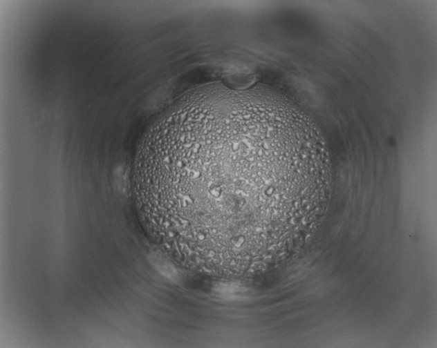 X0000074970177200609081421