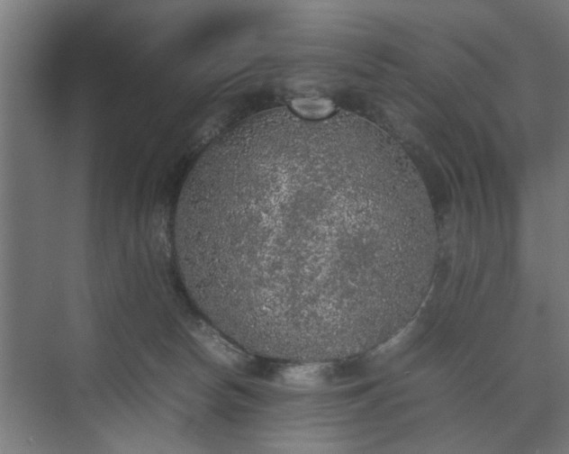 X0000074970178200609081421