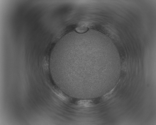 X0000074970179200609081421