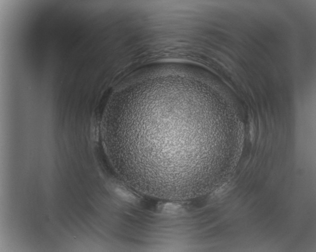 X0000074970180200609081421